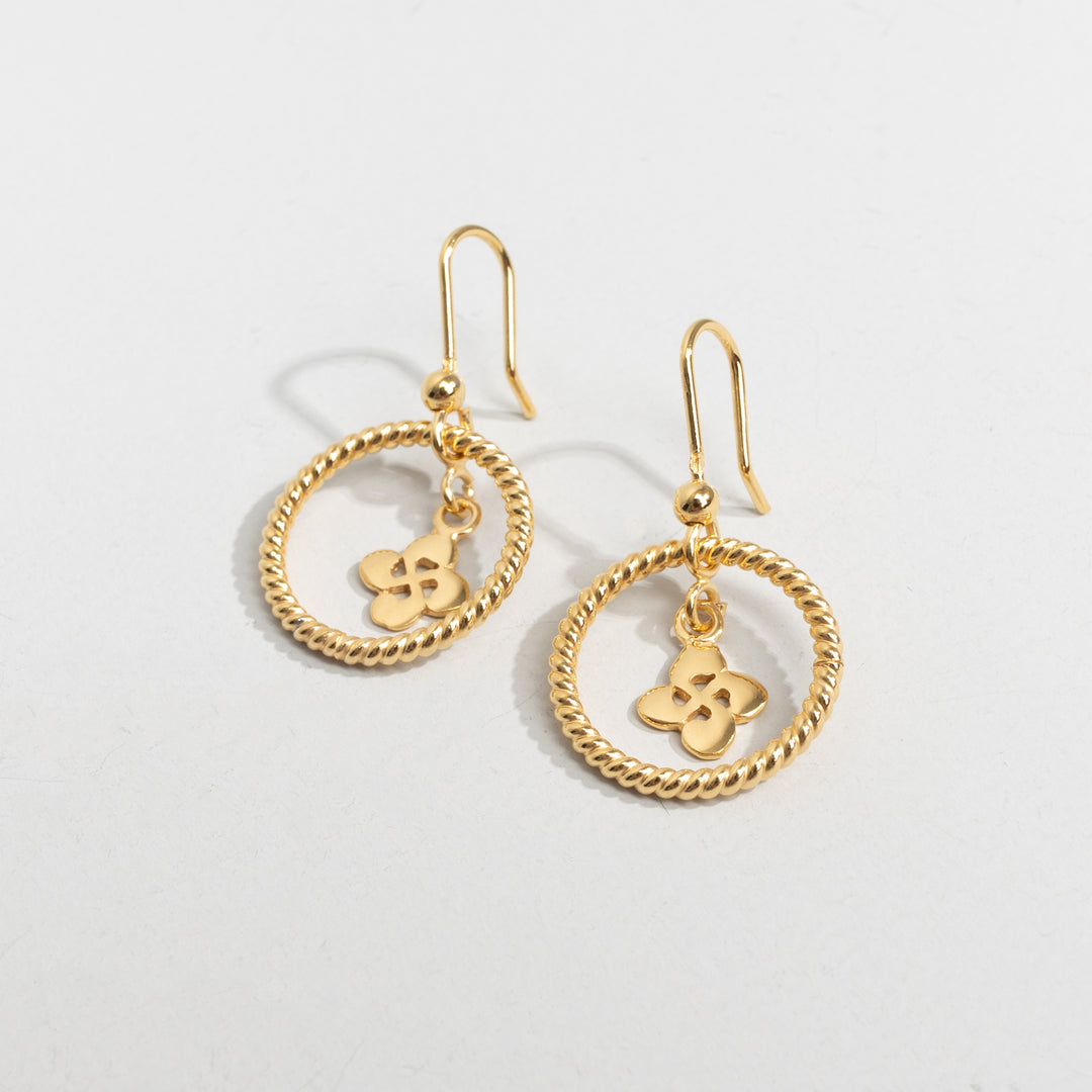 Boucles D'oreilles Cerclées